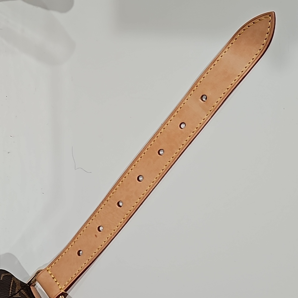 SOLD Louis Vuitton Monogram Bumbag - Picture 14 of 16
